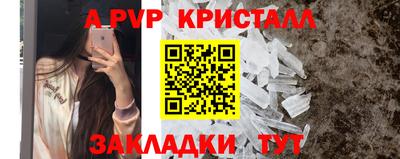 прущие грибы Гусиноозёрск