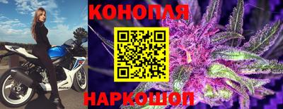 эйфоретик Гусев